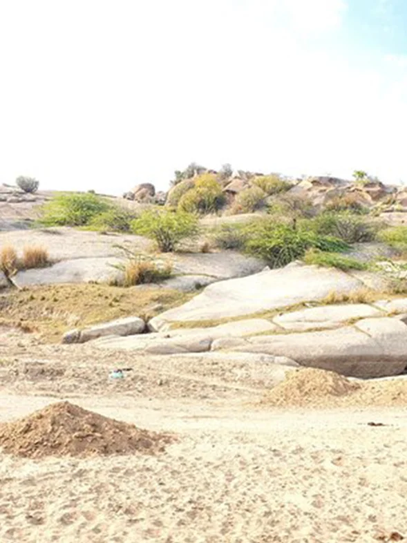 Kavish Jawai Village Resort